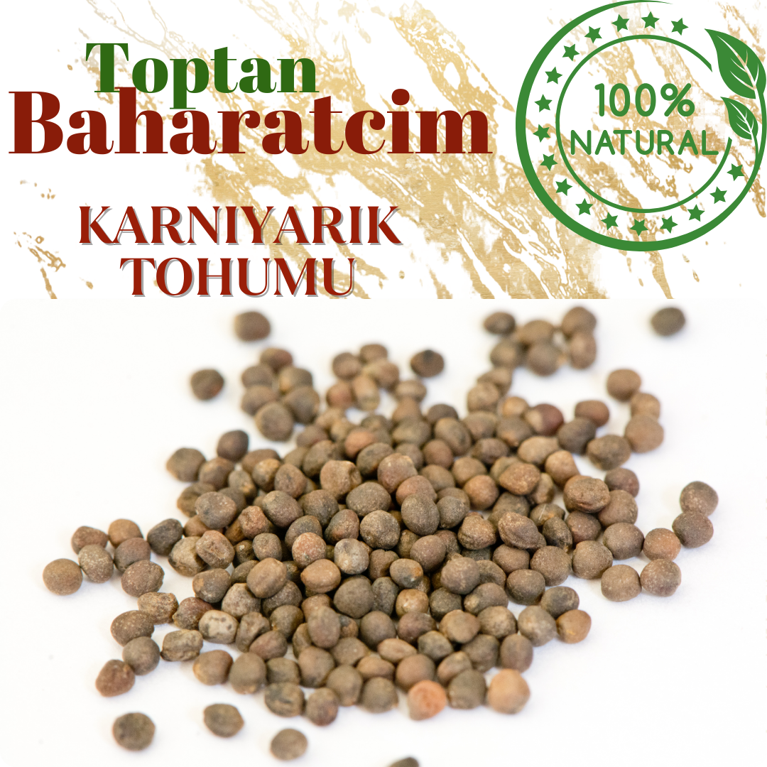 Toptan Karnıyarık Tohumu