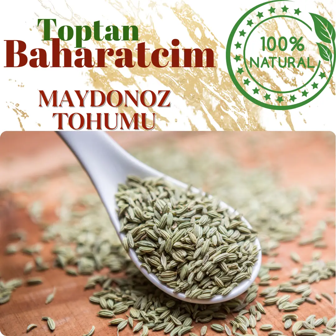 Toptan Maydanoz Tohumu