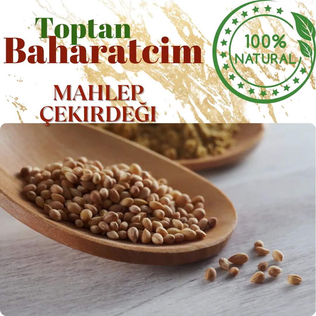 Toptan Orijinal Mahlep Çekirdeği